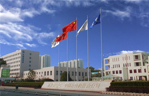 中國(guó)石化長(zhǎng)城潤(rùn)滑油榮獲國(guó)際首批全球最高標(biāo)準(zhǔn)汽油機(jī)油認(rèn)證，引領(lǐng)潤(rùn)滑油零售新標(biāo)桿