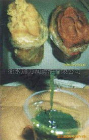 衡水加力潤(rùn)滑油 零售市場(chǎng)的品質(zhì)守護(hù)者